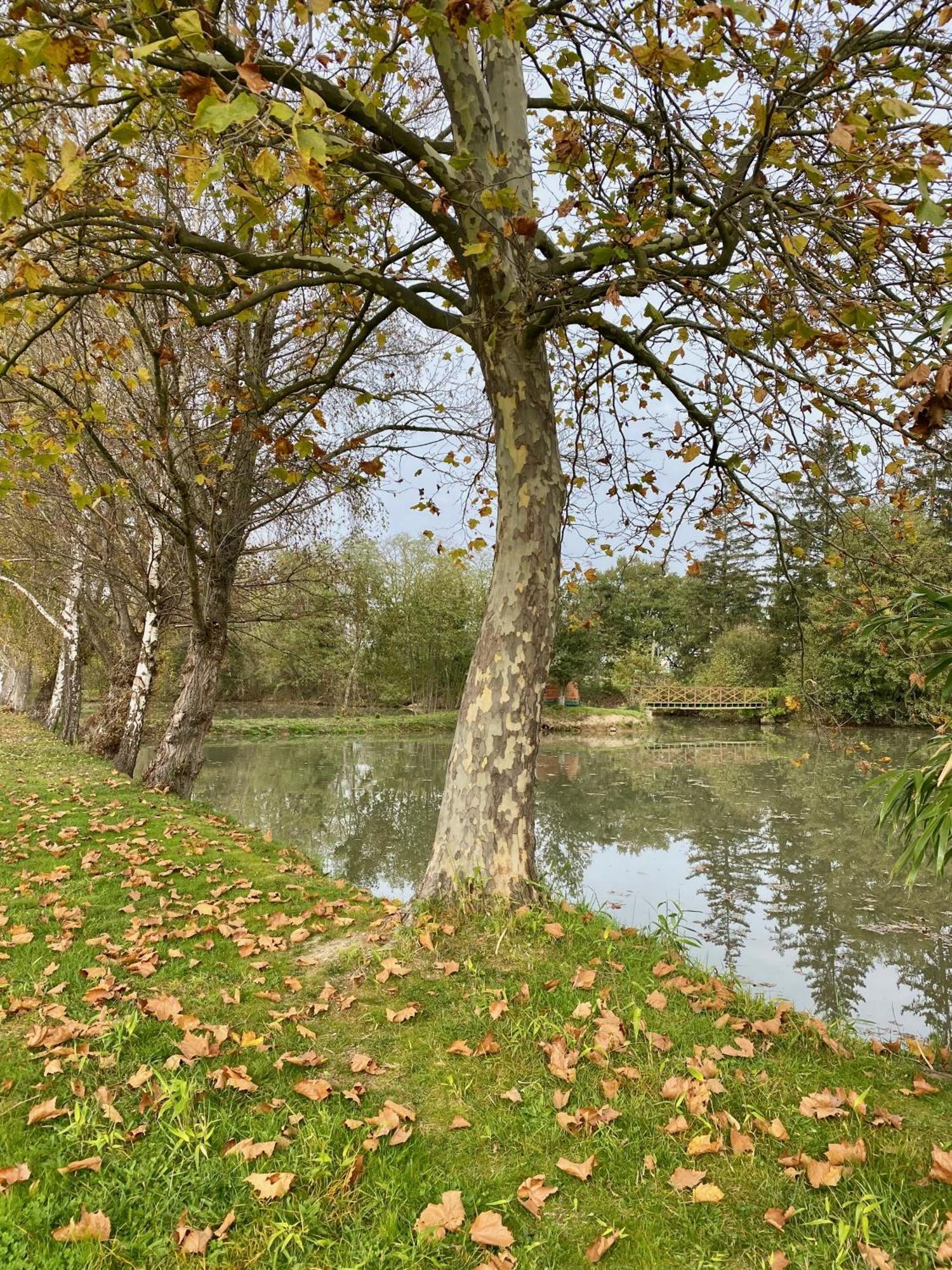 Вілла Nid Douillet Au Bord De L'Eau Saint-Rambert-sur-Loire Екстер'єр фото