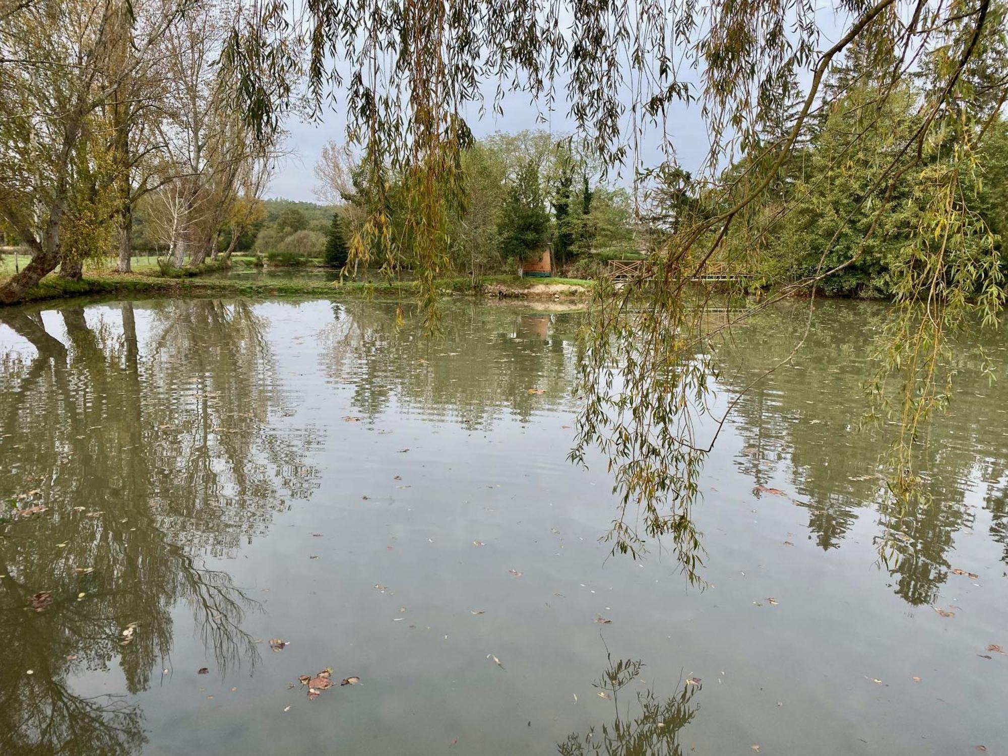 Вілла Nid Douillet Au Bord De L'Eau Saint-Rambert-sur-Loire Екстер'єр фото